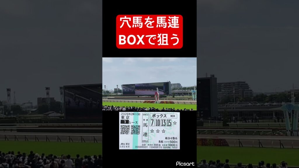 【穴馬】1レースから穴馬を馬連BOXで狙った結果… #競馬