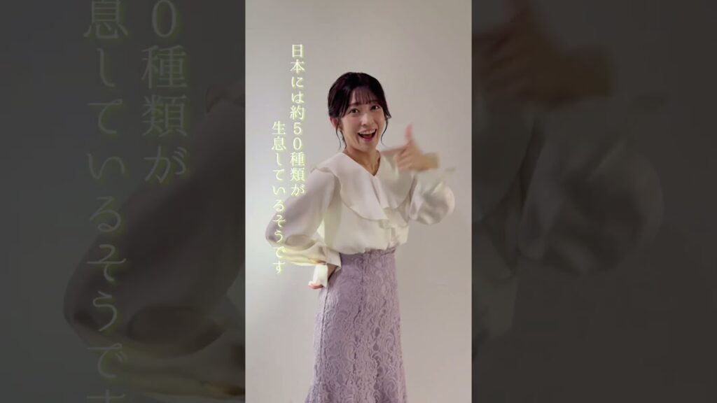 【ややウケ天気予報】ホタルの種類 #通勤タイパ #山岸愛梨 #豆知識