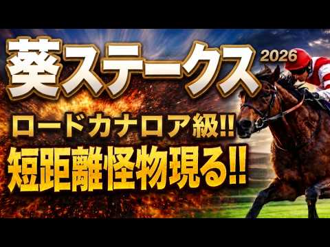 【葵ステークス2026競馬予想】1週前追い切り評価・傾向と対策｜今回は軍師AI指数、追い切り評価、前走内容、血統背景まで現在地を1頭ずつ徹底的に診断整理！逃げ馬有利の罠！京都1200m本当に買える馬は