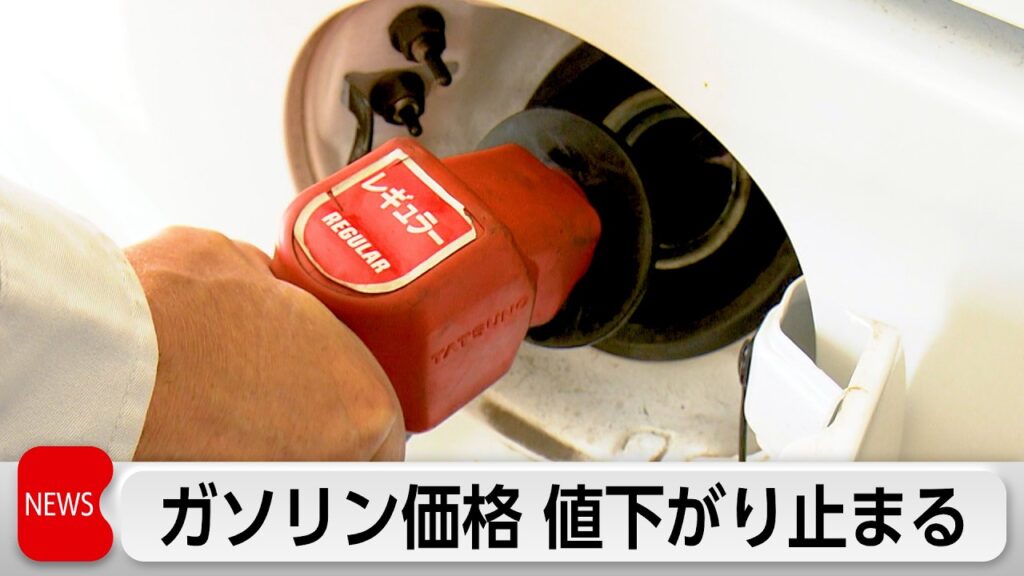 ガソリン価格横ばい 食品容器包装めぐり政府と業界団体が情報交換