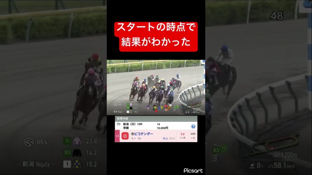 【絶望】 #競馬 単勝1万勝負したのにスタートで結果がわかって絶望