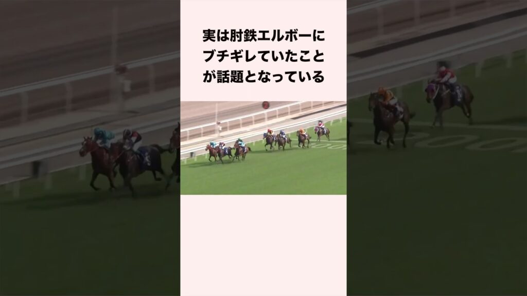 実は肘鉄エルボーにブチギレていたことが話題となっている #競馬 #競馬予想 #shorts