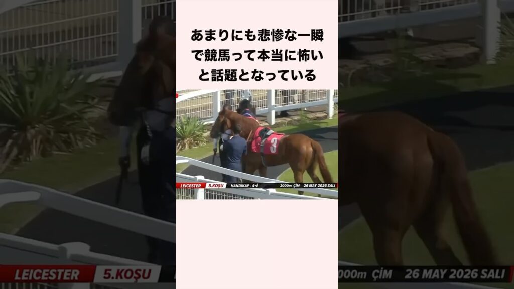 あまりにも悲惨な一瞬で競馬って本当に怖いと話題となっている #競馬 #競馬予想 #shorts