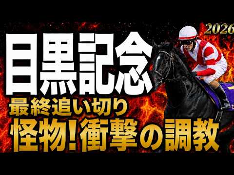 【目黒記念2026競馬予想】水曜最終追い切り評価｜有力馬診断｜軍師AI競馬予想｜ウィクトルウェルス、ダノンシーマの上位陣は？状態が届いてない馬も明確！最終追い切り段階での序列は見えた最終結論！買う馬