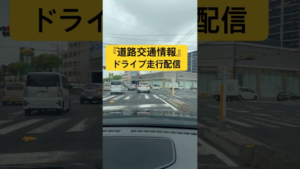 『道路交通情報』ライブ配信 ハイライト！
