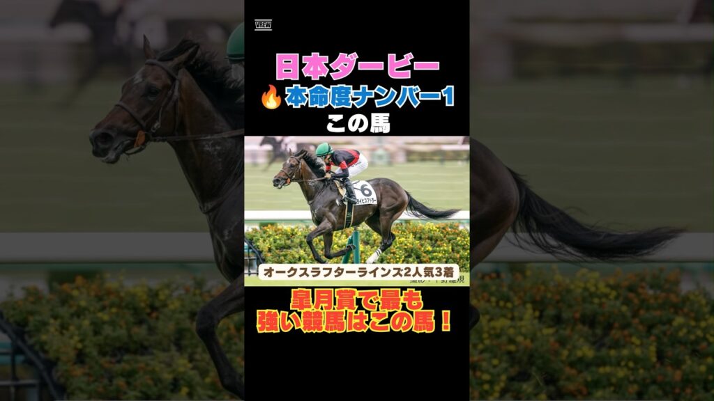 【日本ダービー2026】先週ラフターラインズ2人気3着!本命度ナンバー1はこの馬🔥皐月賞で最も強い競馬はこの馬! 【日本ダービー2026】先週ラフターラインズ2人気3着!本命度ナンバー1はこの馬🔥皐月賞で最も強い競馬はこの馬!