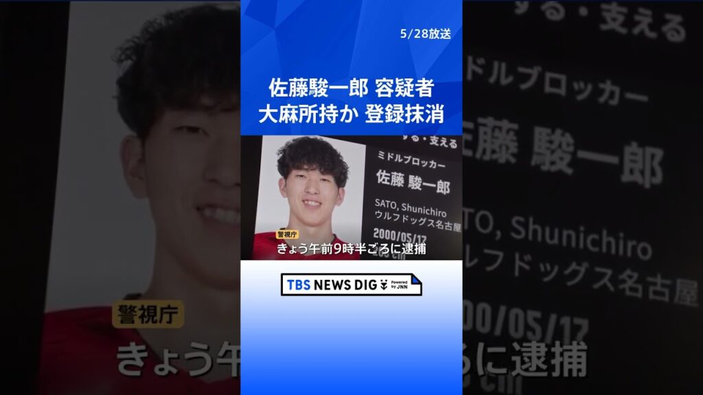 逮捕のバレーボール日本代表・佐藤駿一郎容疑者（26）　パチンコ店にバッグを置き忘れ、“乾燥大麻”発見・通報　協会は代表登録を抹消｜TBS NEWS DIG #shorts