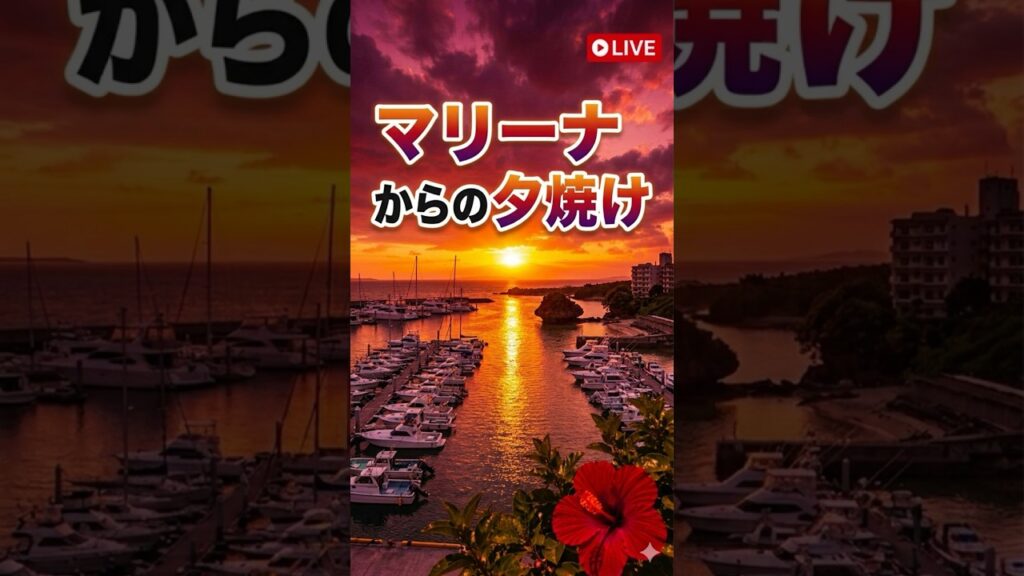 沖縄LIVEカメラ【最新台風情報】台風6号チャンミー 沖縄への影響は？