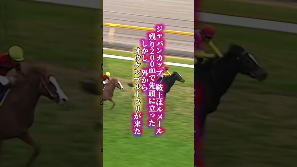 【ウオッカ物語④完結】天皇賞秋に続きジャパンカップも2センチ　「一番強かった馬はウオッカ」角居の言葉