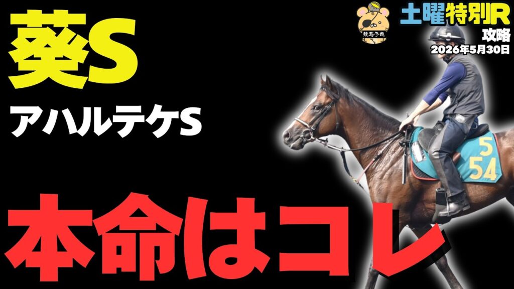 【土曜特別R穴馬まとめ】葵Sここで買うべき展開ドンピシャな1頭は【アハルテケS/競馬予想2026】