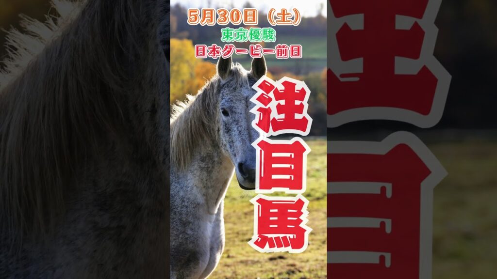 g1東京優駿日本ダービー前日 中央競馬予想 5月30日 注目馬#shorts g1東京優駿日本ダービー前日 中央競馬予想 5月30日 注目馬#shorts