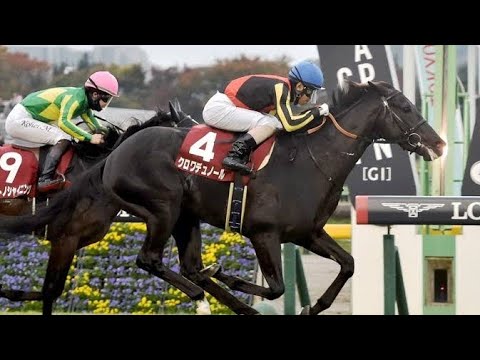 🏇🔥【宝塚記念2026】クロワデュノールが史上最多36万6039票で堂々1位！🌟ファン投票最終結果発表📢🏆