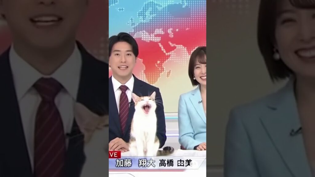 放送事故！最後までプロ意識を見せるも最後の顔が最高ww