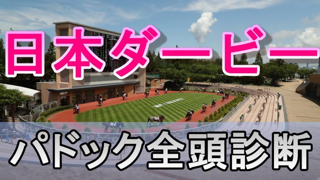 【JRAライブ】競馬記者が全レースのパドックを解説【ダービー 2026】