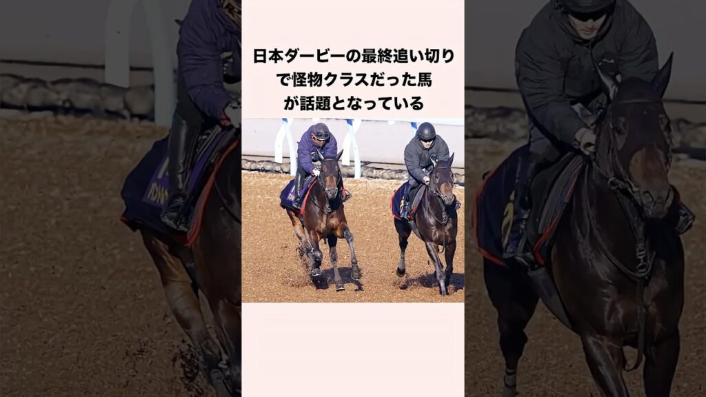 日本ダービーの最終追い切りで怪物クラスだった馬が話題となっている #競馬 #競馬予想 #shorts
