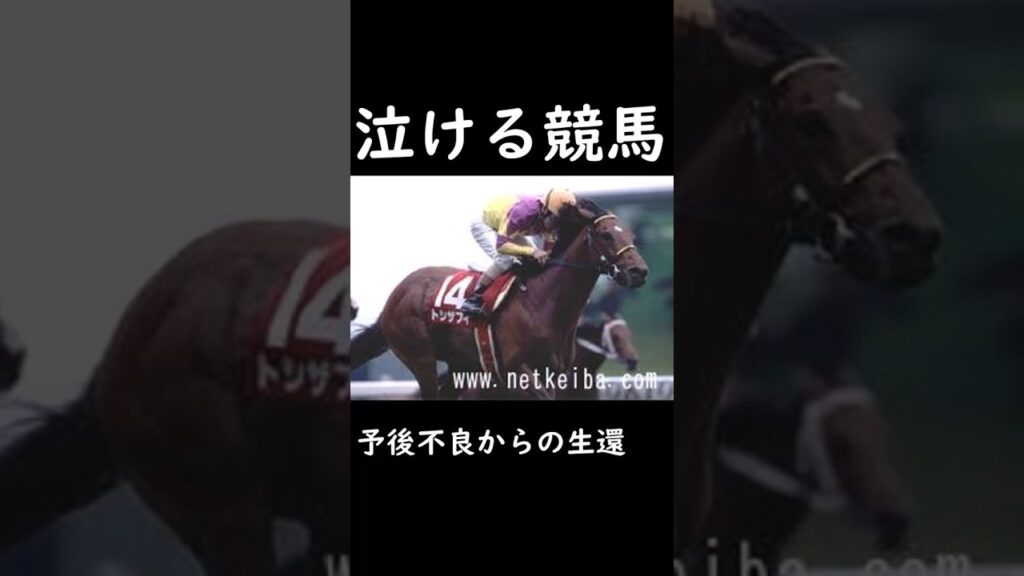 【泣ける競馬】予後不良からの生還【ゆっくり解説】#shorts #競馬 #目黒記念