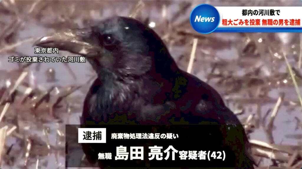 【放送事故】表示ミスにツボるアナウンサー