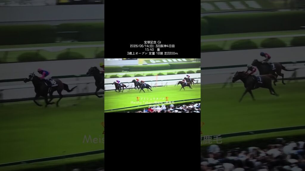 宝塚記念 GⅠ2026/06/14(日) #競馬 #競馬予想 #宝塚記念 #流行り #流行りのやつ