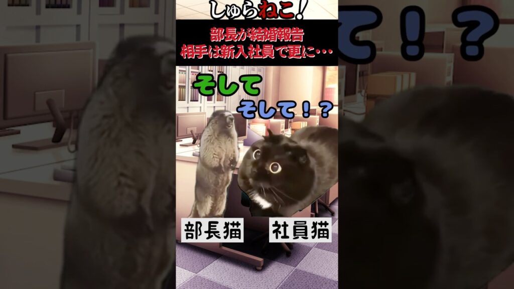 【猫ミーム】部長の結婚発表→相手はまさかの新入社員で･･･【2ch修羅場】#猫ミーム #shorts