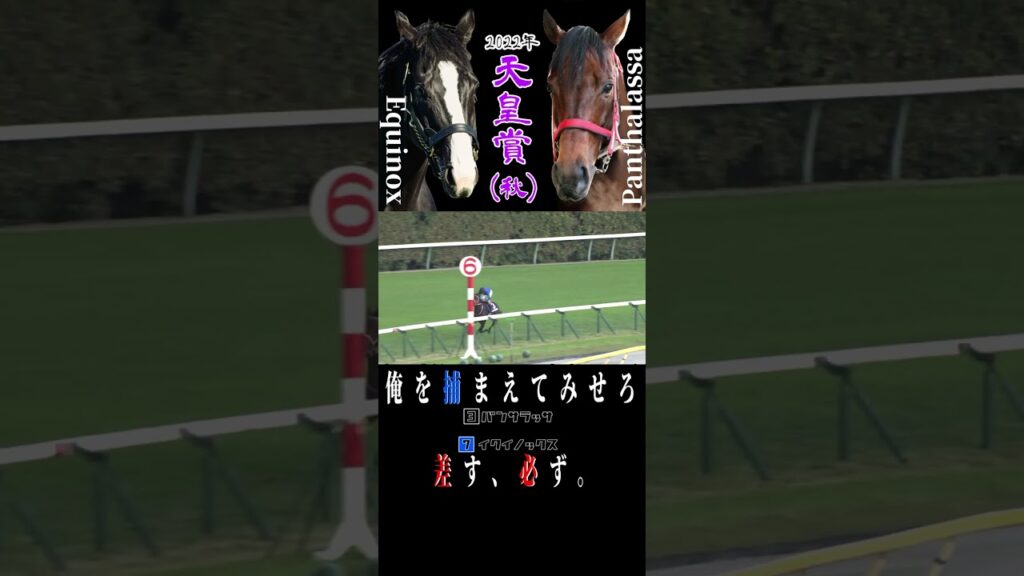 イクイノックスvsパンサラッサ 2022年 天皇賞秋 #競馬