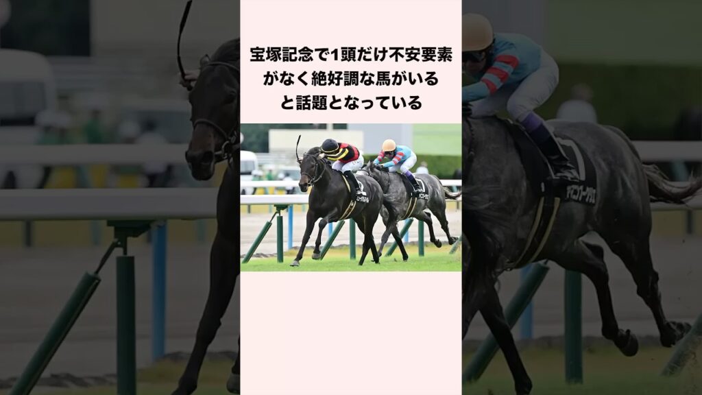 宝塚記念で1頭だけ不安要素がなく絶好調な馬がいると話題となっている #競馬 #競馬予想 #shorts