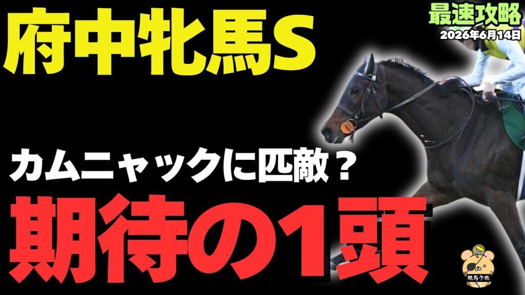 【府中牝馬S2026攻略】軽ハンデで一気に浮上！混戦模様で輝く注目の1頭は！【競馬予想】