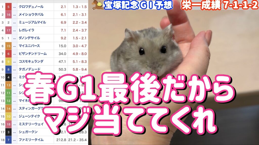 競馬予想【GⅠ宝塚記念🐎 2026.6.14】豪華メンバー宝塚！リベンジだ栄一