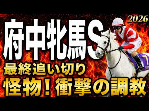 【府中牝馬S2026競馬予想】水曜最終追い切り評価｜有力馬診断｜軍師AI｜コガネノソラ, セキトバイーストの上位陣は？状態が届いてない馬も明確！最終段階での序列は見えてきた最終結論、買う馬と危険馬？