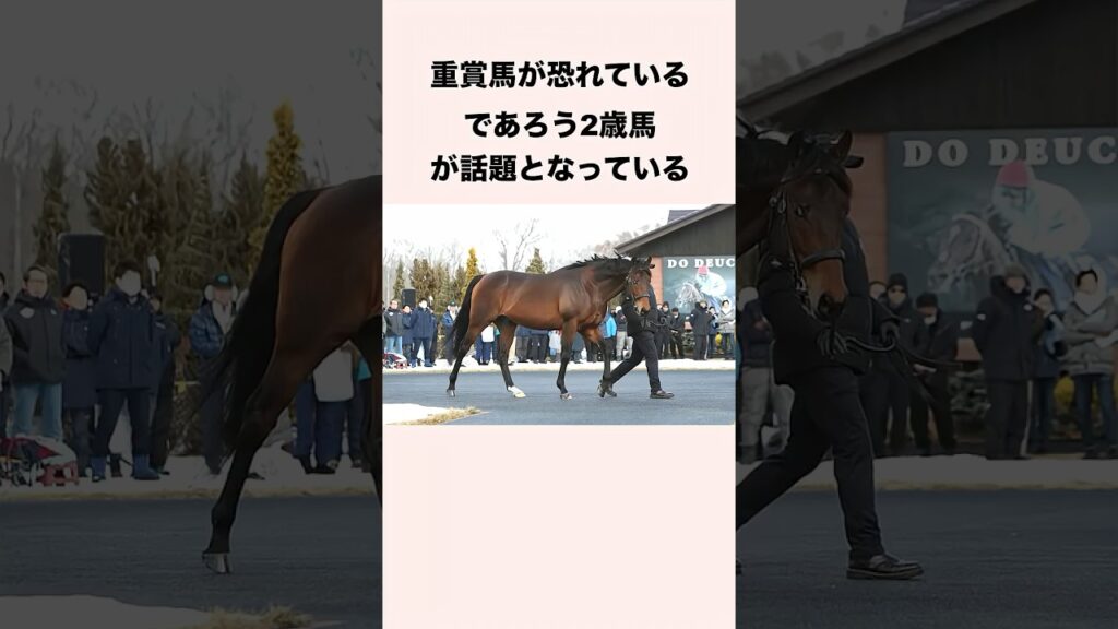 重賞馬が恐れているであろう2歳馬が話題となっている #競馬 #競馬予想 #shorts