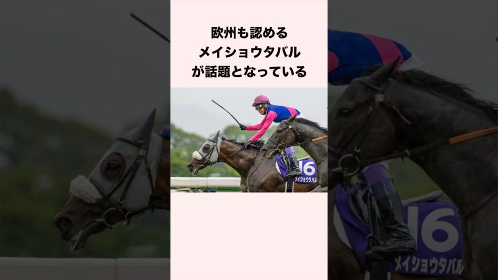 欧州も認めるメイショウタバルが話題となっている #競馬 #競馬予想 #shorts