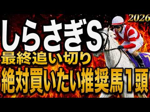 【しらさぎS2026競馬予想】水曜最終追い切り結論｜ベラジオ回避で混戦！本命浮上、危険人気も判明、上位陣は？有力馬診断｜軍師AI競馬予想｜相手穴で残したい馬最終段階での序列は見えた買う馬と危険馬が確定