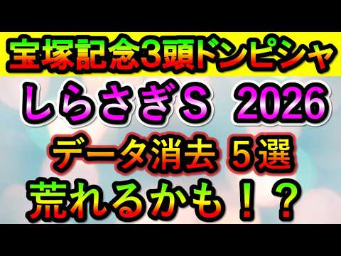 しらさぎステークス2026 【消去データ5選】 もしかしたら荒れるかも!? しらさぎステークス2026 【消去データ5選】 もしかしたら荒れるかも!?