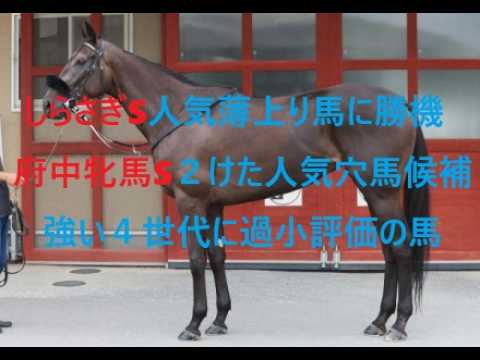 しらさぎステークス・人気薄の上り馬に勝機あり　府中牝馬ステークス・強い４世代で過小評価の実力馬