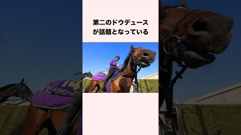 第二のドウデュースが話題となっている #競馬 #競馬予想 #shorts