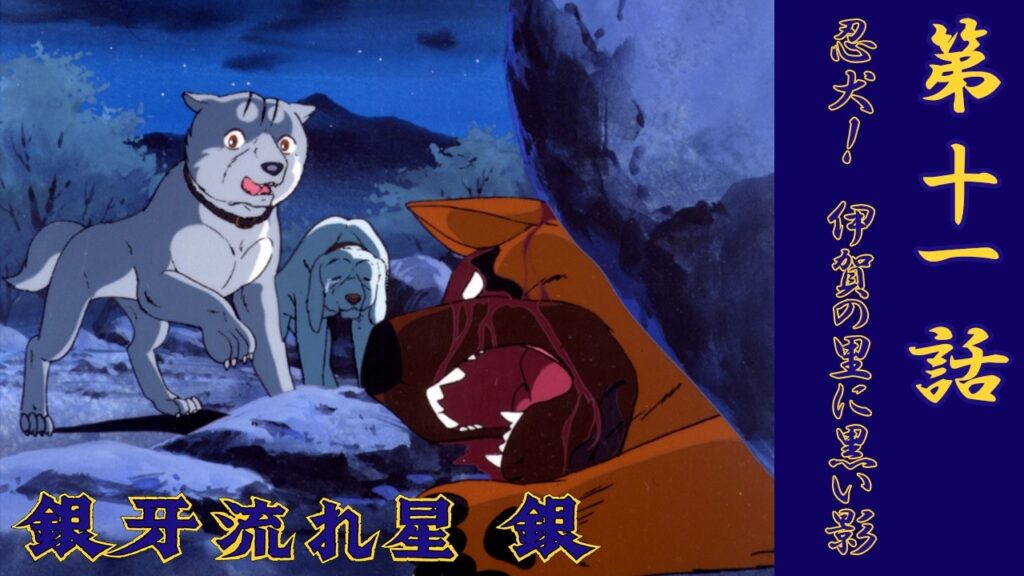 【㊗️アニメ放送40周年】銀牙 流れ星 銀 第11話「忍犬！　伊賀の里に黒い影」【公式】