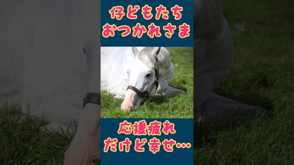 6/20(土)ゴルシ産駒レース結果