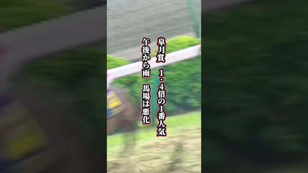【ミホノブルボン物語②】結果が出なければ短距離へ　背水のスプリングSを7馬身差で圧勝→無敗の二冠