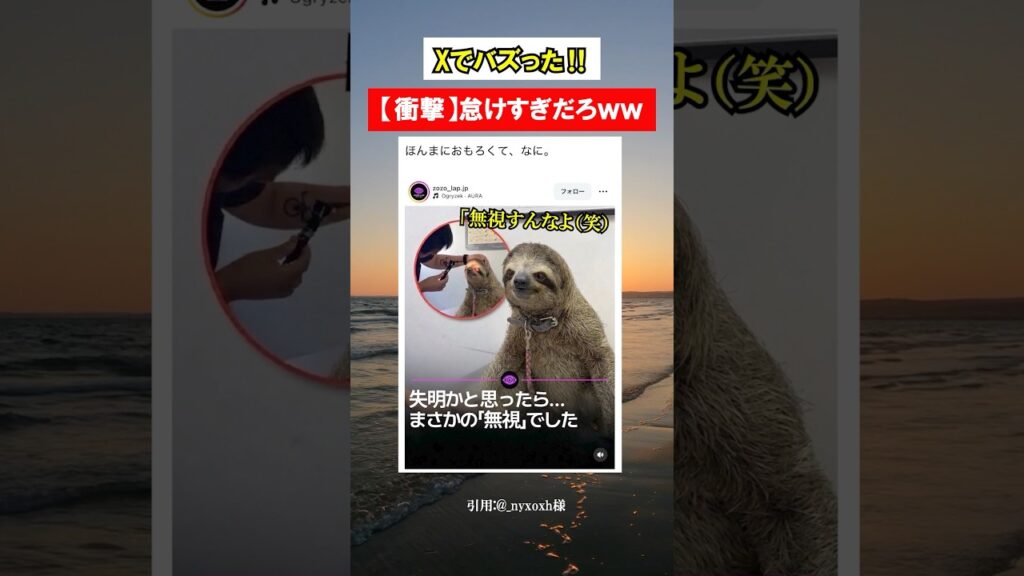 獣医でも分からないの草