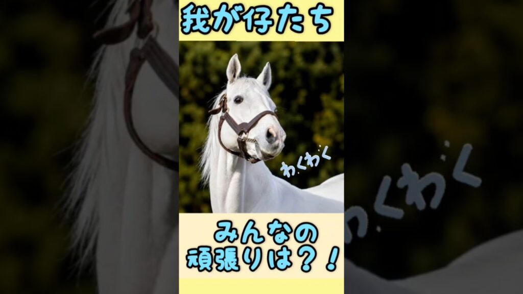 6/21(日)ゴールドシップ産駒レース結果