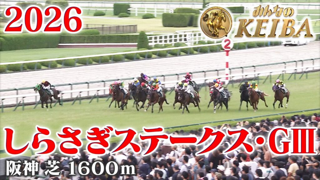 【しらさぎステークス・GⅢ】しらさぎS 阪神 芝 1600m 2026 レース  【みんなのKEIBA】