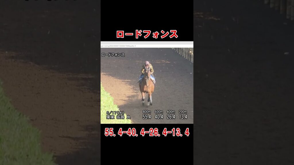 さきたま杯　追い切り　全く当たらない競馬予想