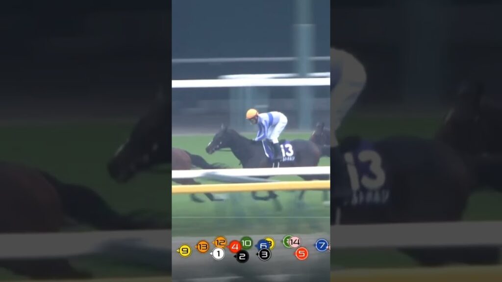 天皇賞(秋)2024　ドウデュース　武豊