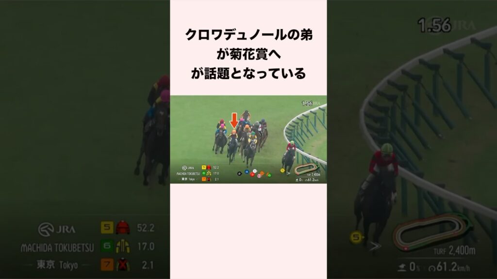 クロワデュノールの弟が菊花賞へが話題となっている #競馬 #競馬予想 #shorts