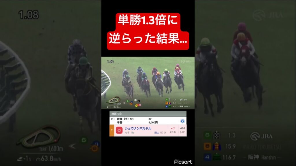 【逆張り】単勝1.3倍の馬に逆らった結果… #競馬