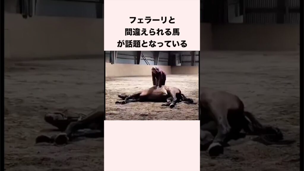 フェラーリと間違えられる馬が話題となっている #競馬 #競馬予想 #shorts