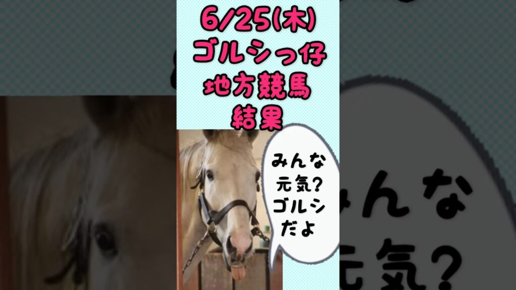 6/25(木)ゴルシっ仔地方競馬結果