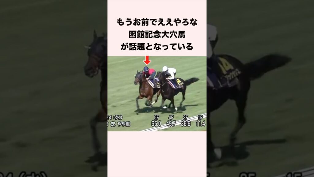 もうお前でええやろな函館記念大穴馬が話題となっている #競馬 #競馬予想 #shorts
