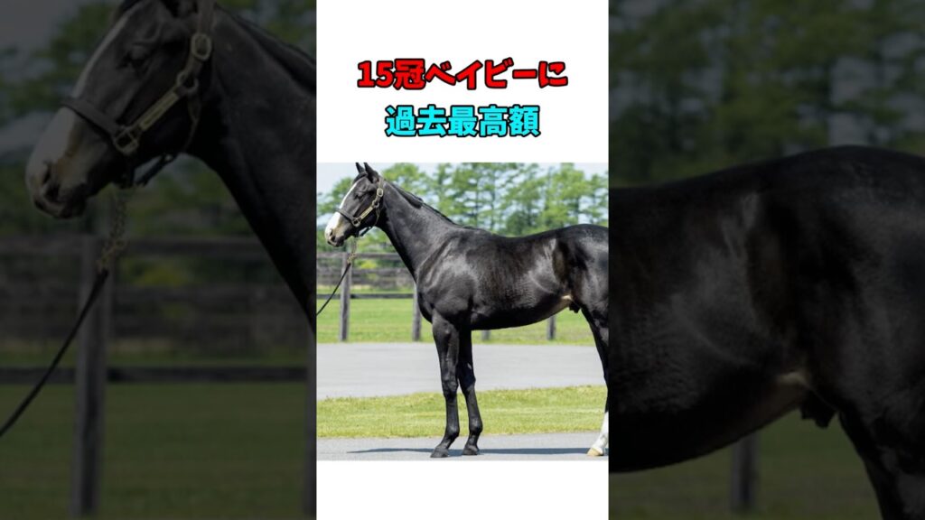 15冠ベイビーに過去最高額