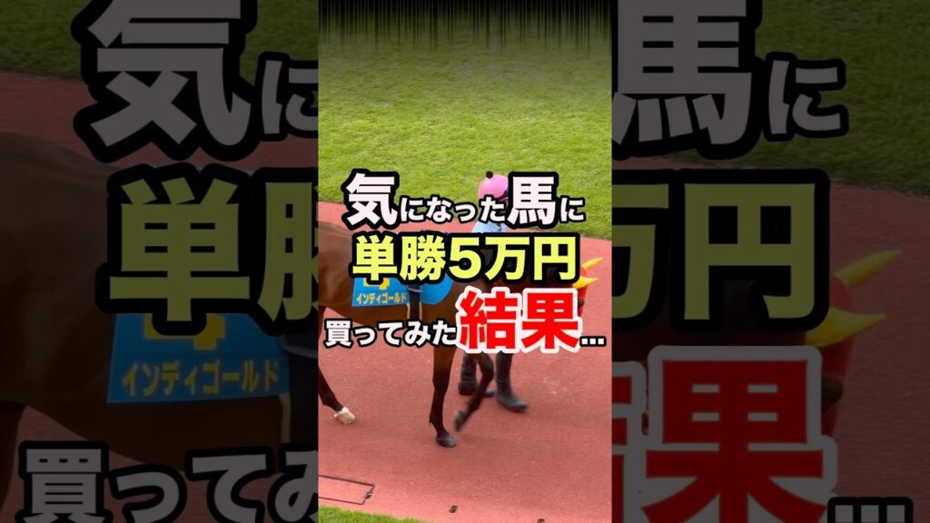 【衝撃】競馬で単勝5万円買ってみた結果･･･