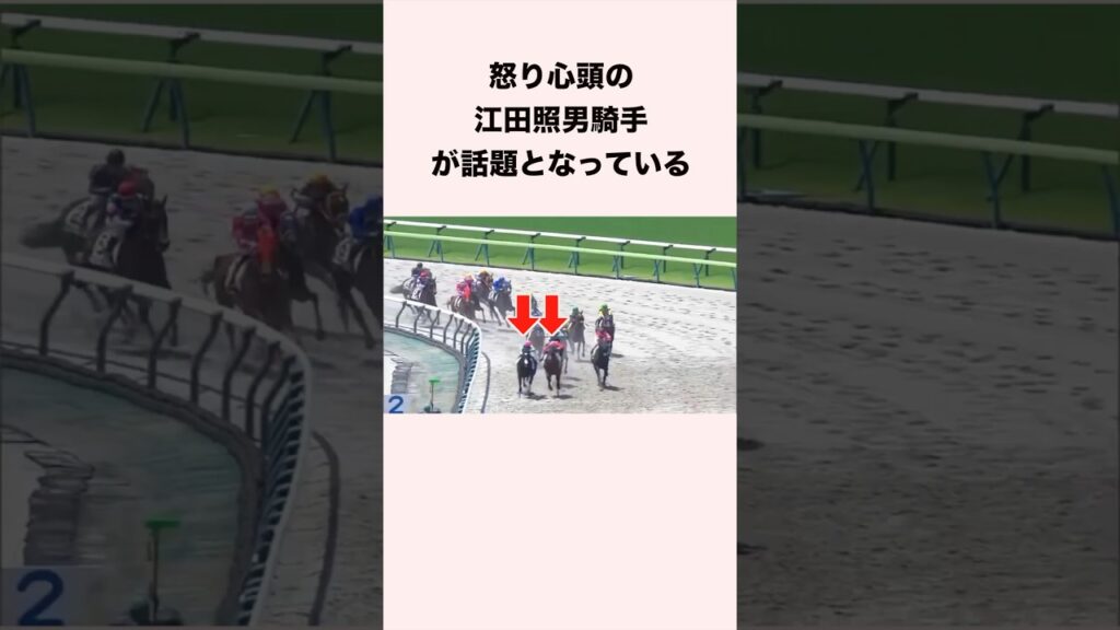 怒り心頭の江田照男騎手が話題となっている #競馬 #競馬予想 #shorts